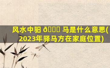 风水中驲 🐛 马是什么意思(2023年驿马方在家庭位置)
